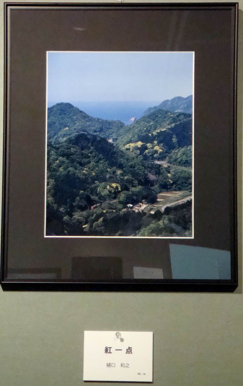 H͊CR̒ցBԂCԂFƂǂ̐V΂̒𑖂܂B