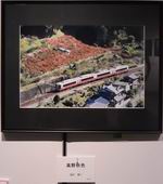 高野線に山岳線直通特急用として投入された31000系、柿の紅葉より赤が綺麗です。